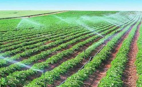大jb搞基农田高 效节水灌溉